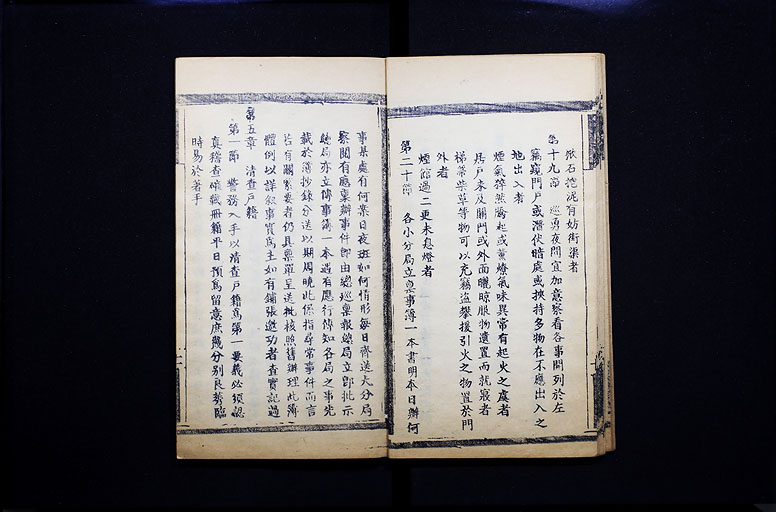 拡大画像へ