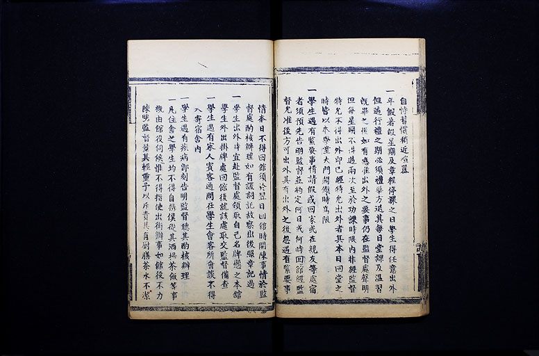 拡大画像へ