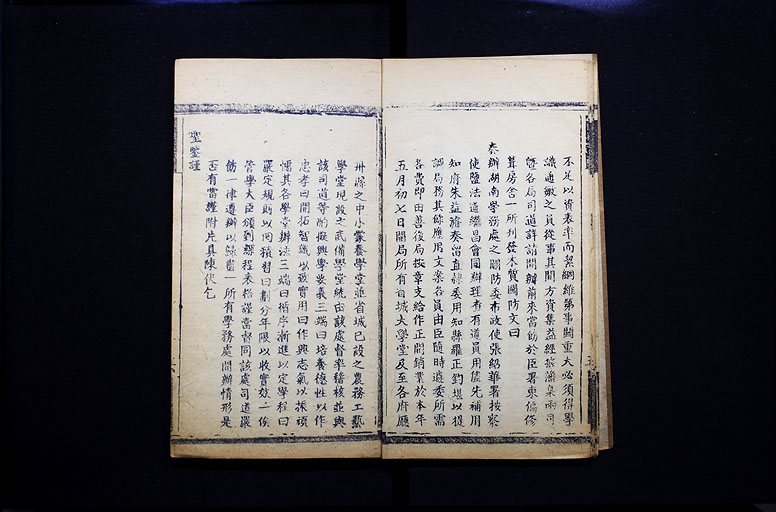 拡大画像へ