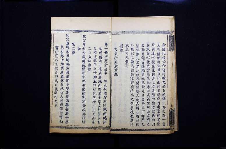 拡大画像へ