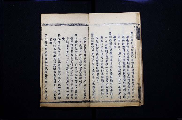 拡大画像へ
