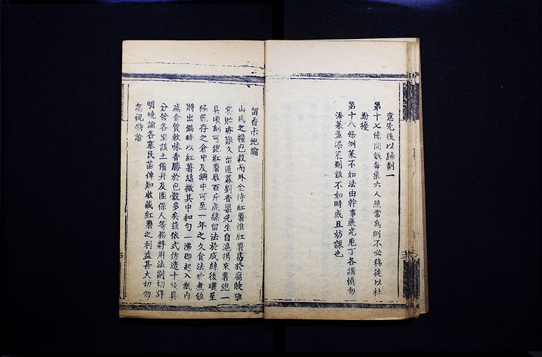 拡大画像へ