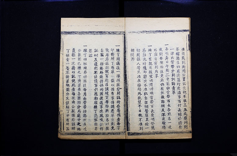 拡大画像へ