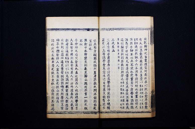拡大画像へ