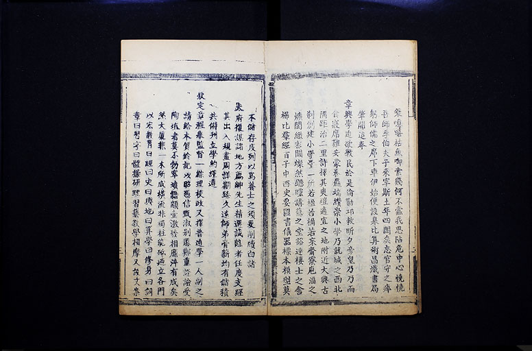 拡大画像へ