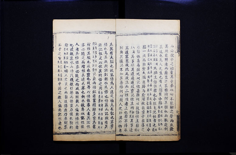 拡大画像へ