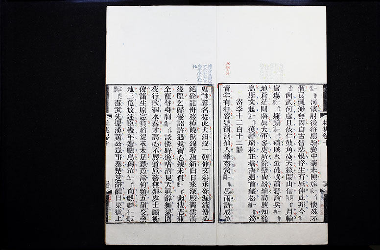 拡大画像へ