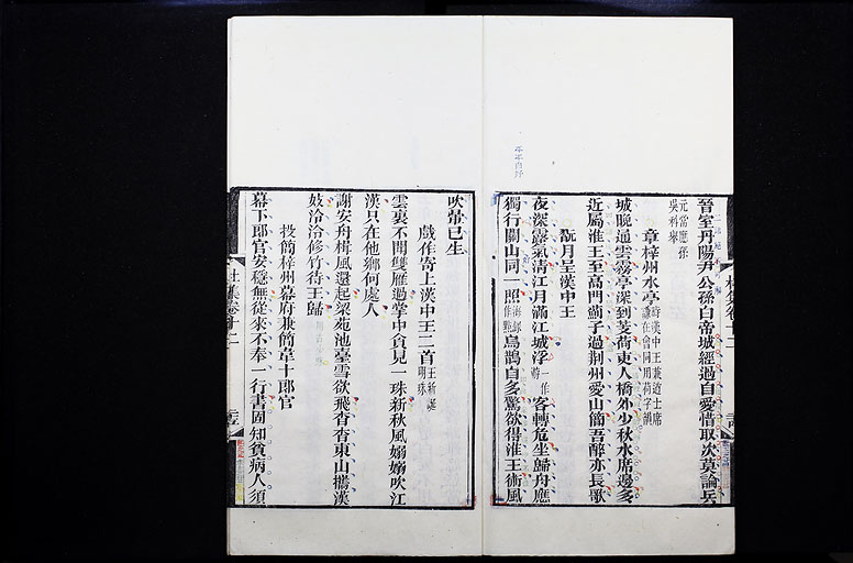 拡大画像へ