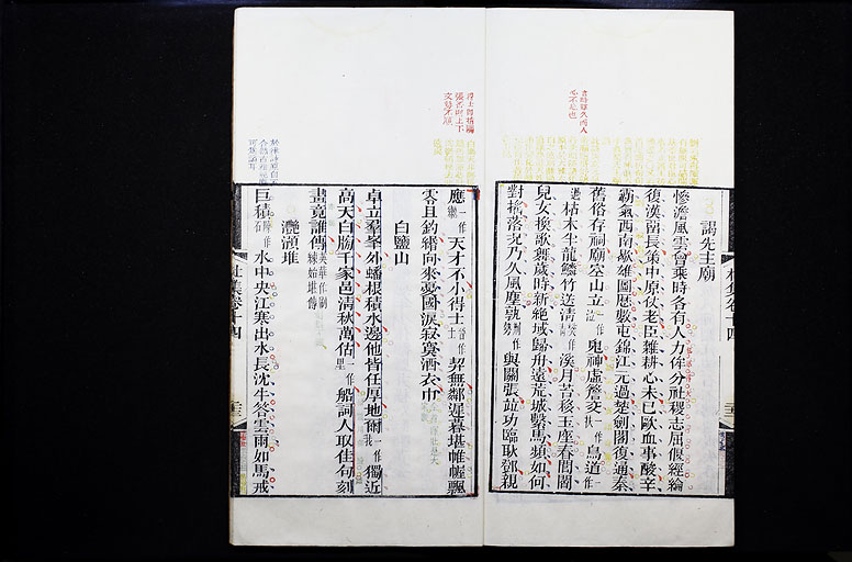 拡大画像へ