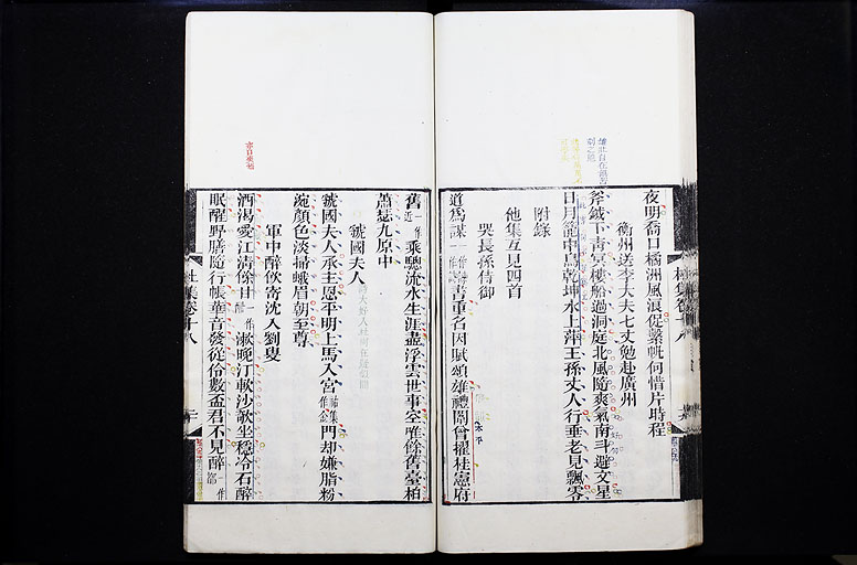 拡大画像へ