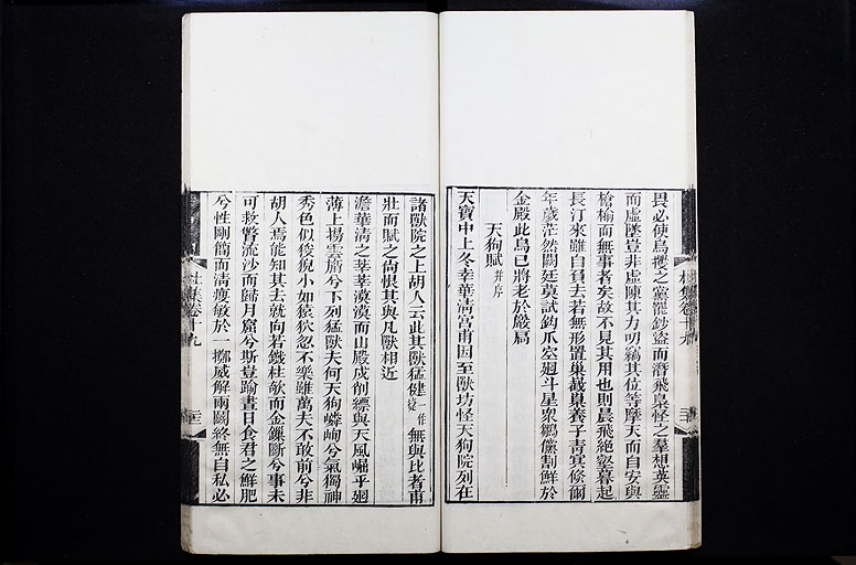 拡大画像へ