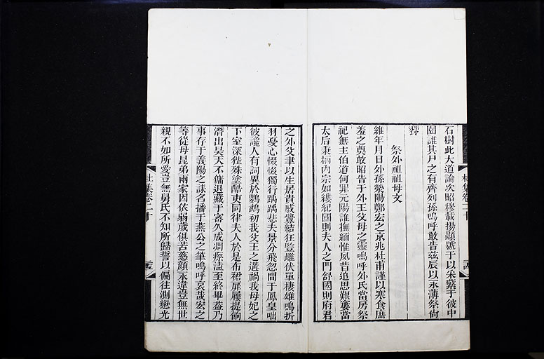 拡大画像へ