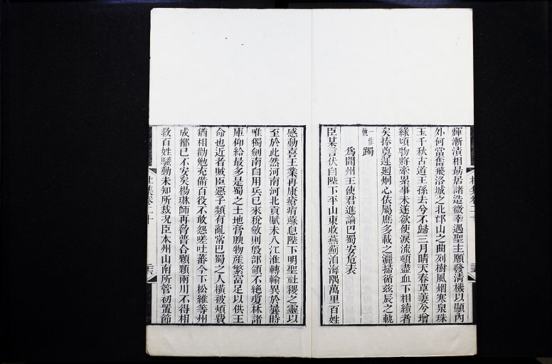 拡大画像へ
