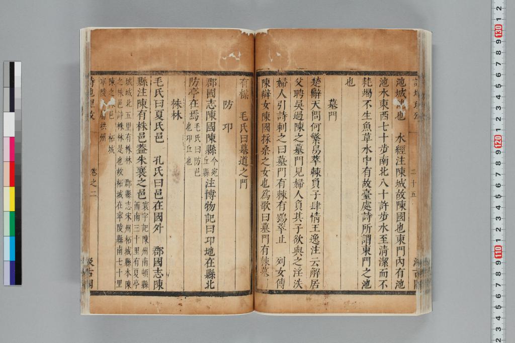 標準画像へ