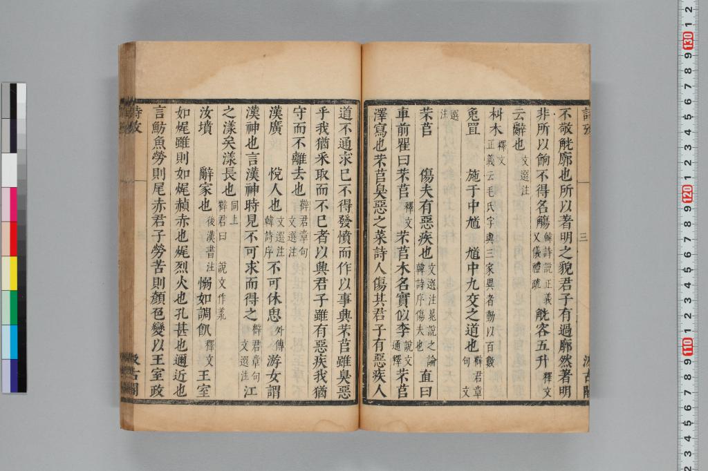 標準画像へ
