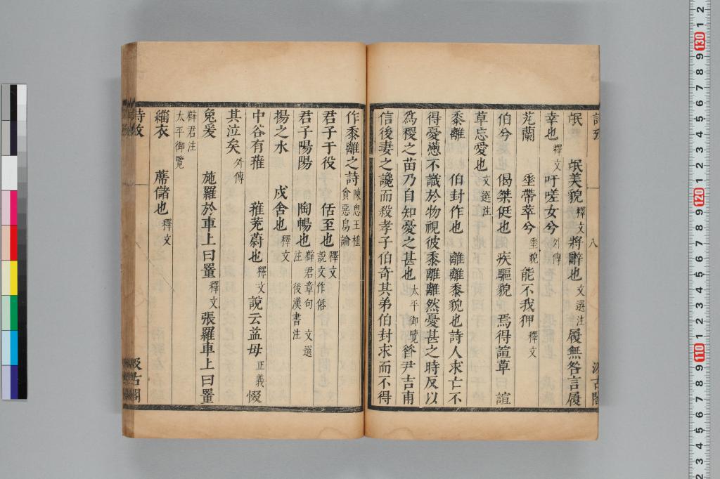 標準画像へ