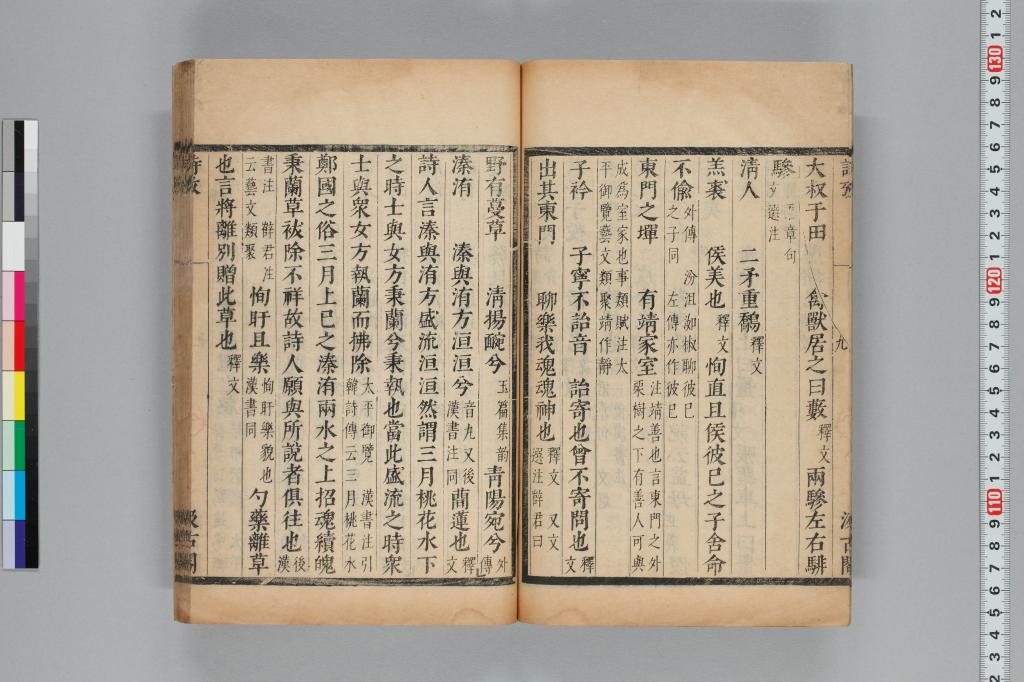 標準画像へ