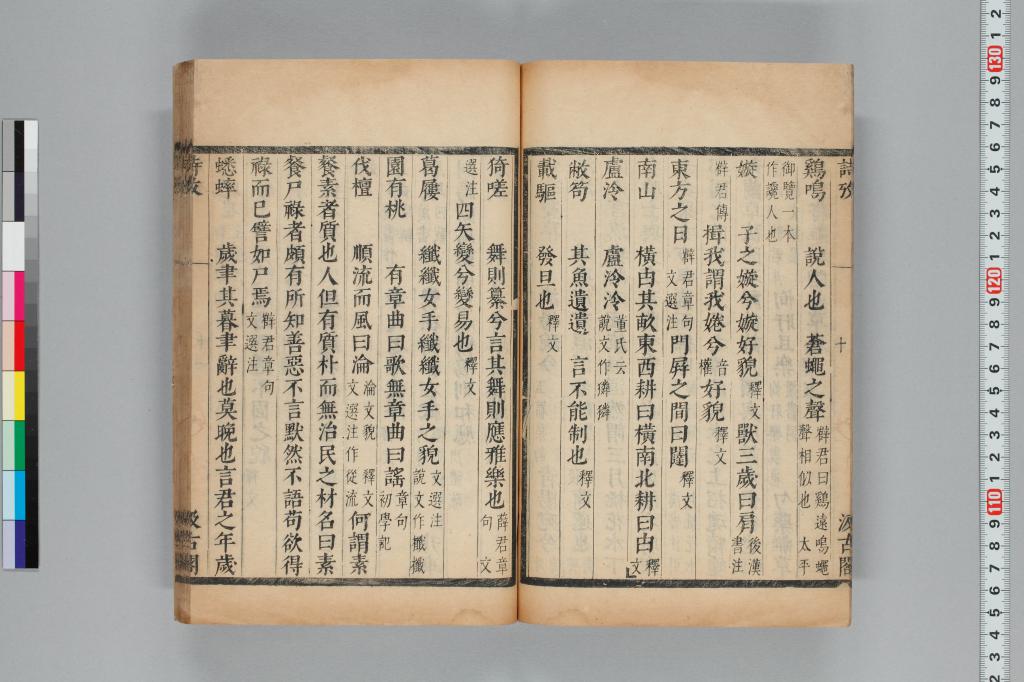 標準画像へ