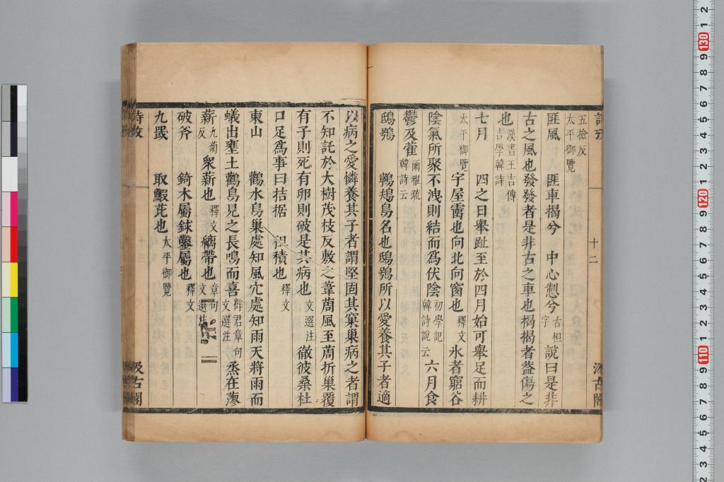 標準画像へ