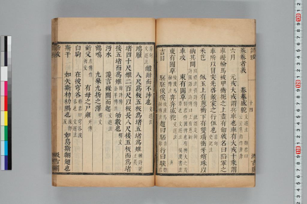 標準画像へ