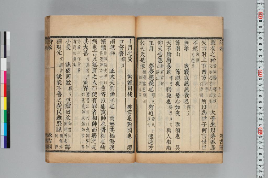 標準画像へ