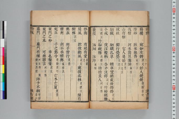 拡大画像へ
