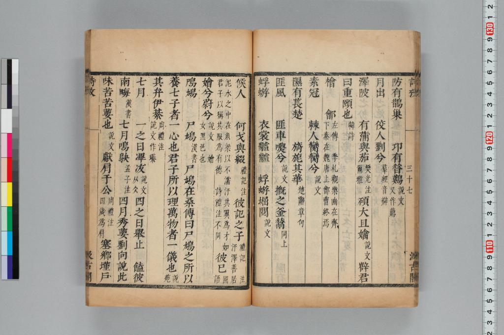 標準画像へ