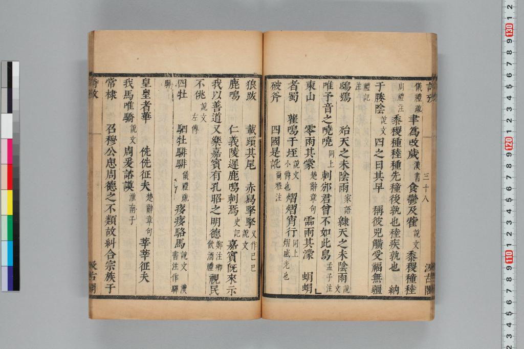 標準画像へ