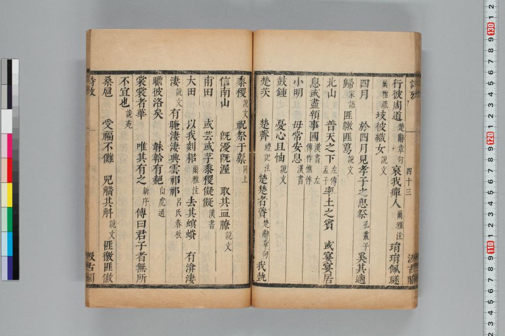 標準画像へ
