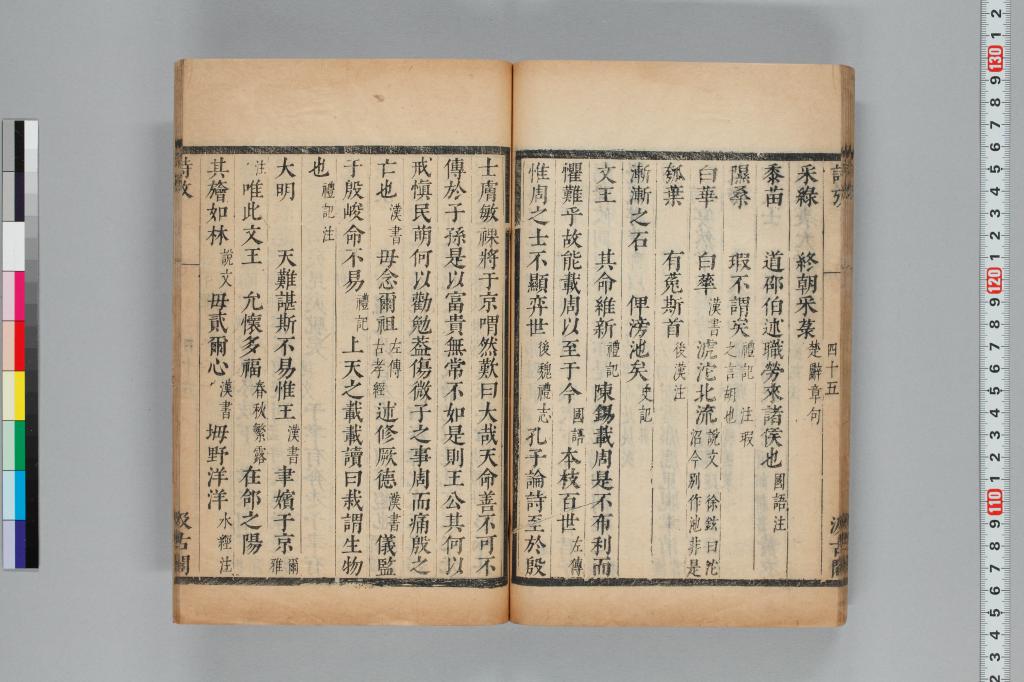標準画像へ