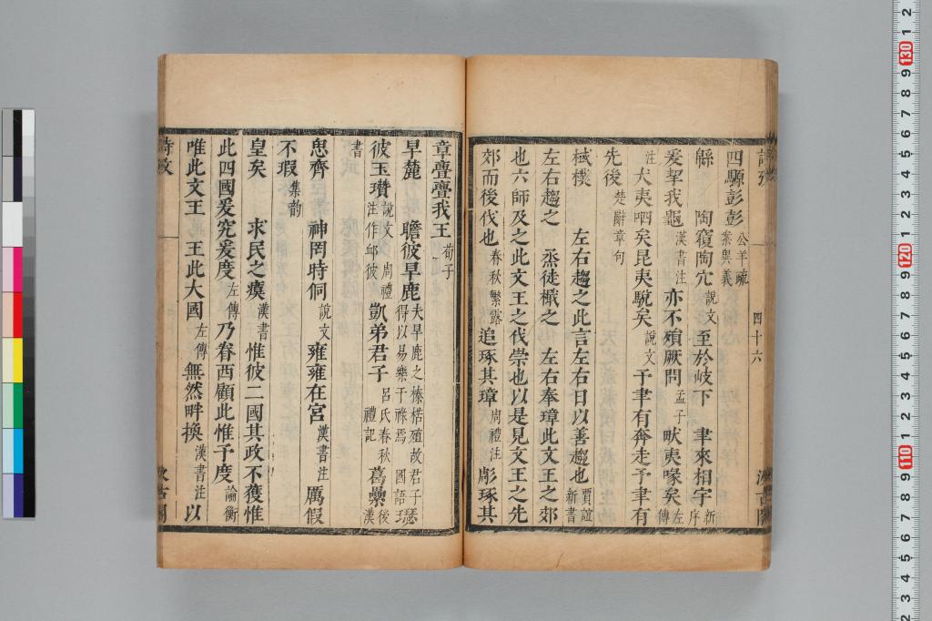 標準画像へ