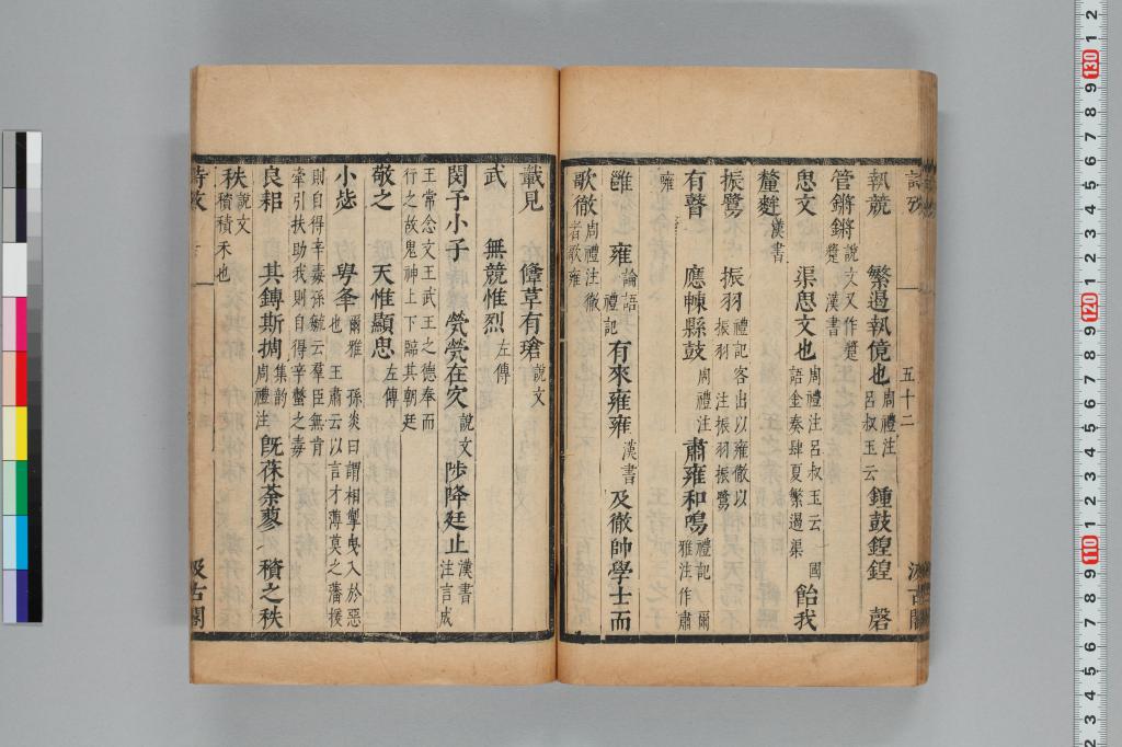 標準画像へ