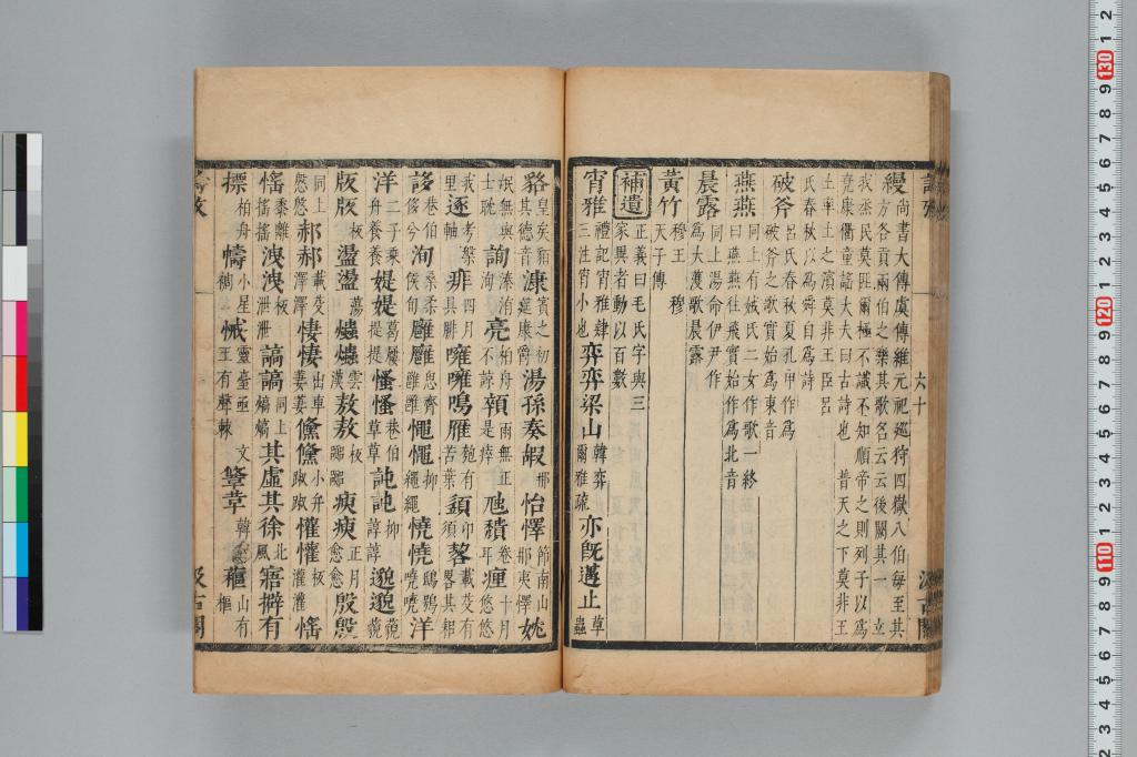 標準画像へ