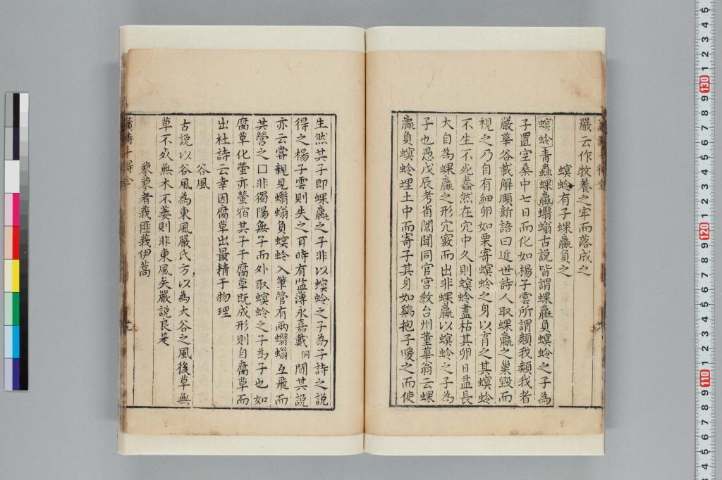 標準画像へ