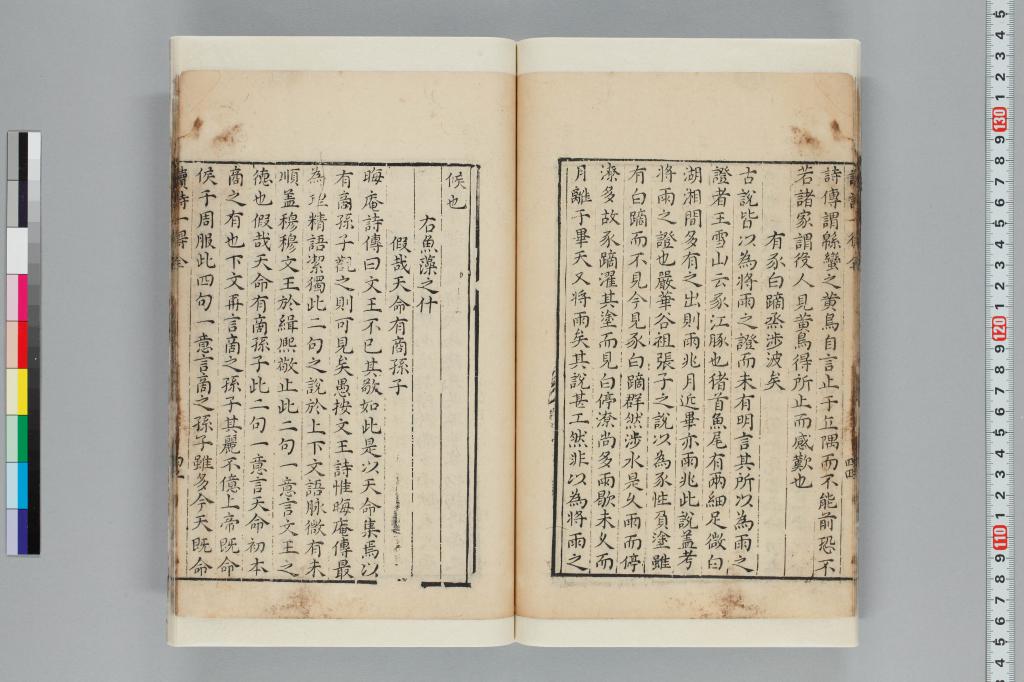 標準画像へ