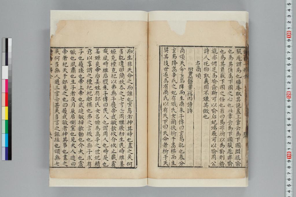 標準画像へ