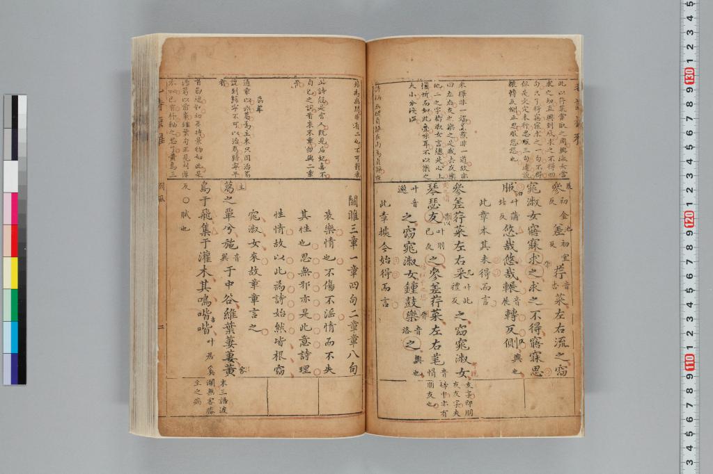 標準画像へ