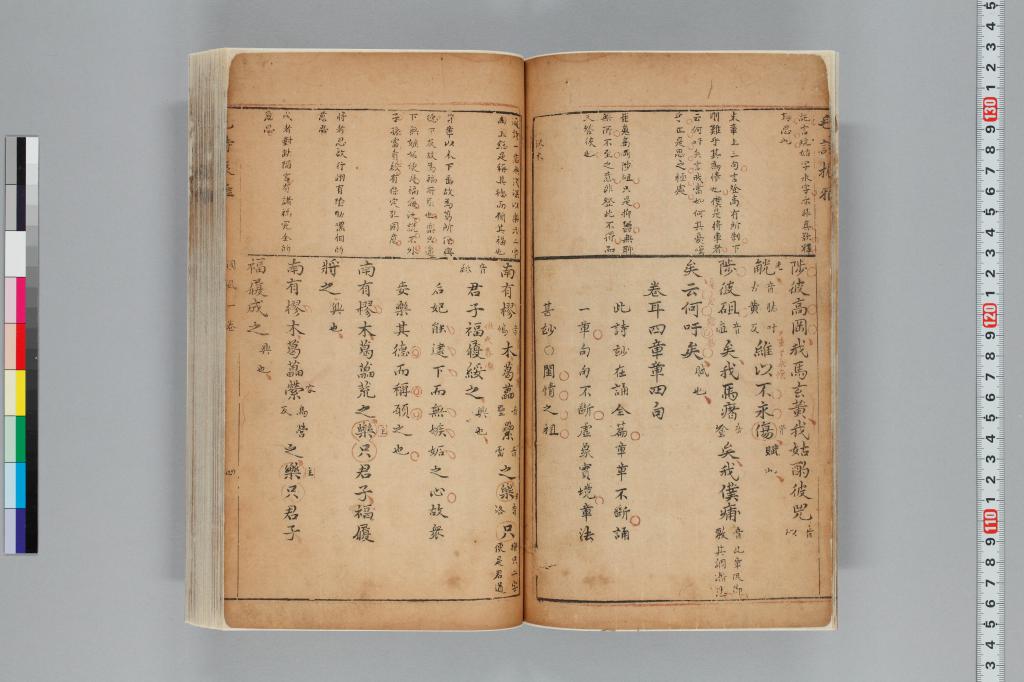 標準画像へ