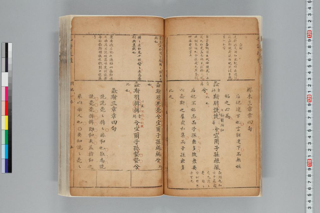 標準画像へ