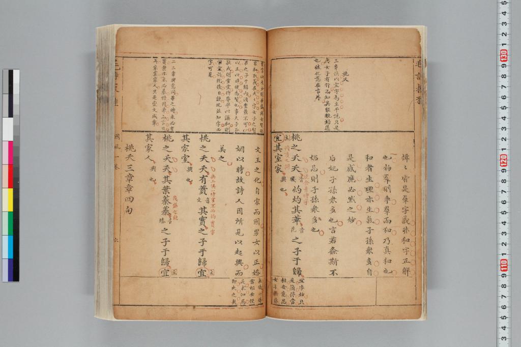 標準画像へ