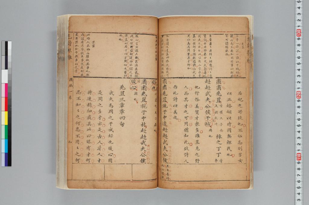 標準画像へ