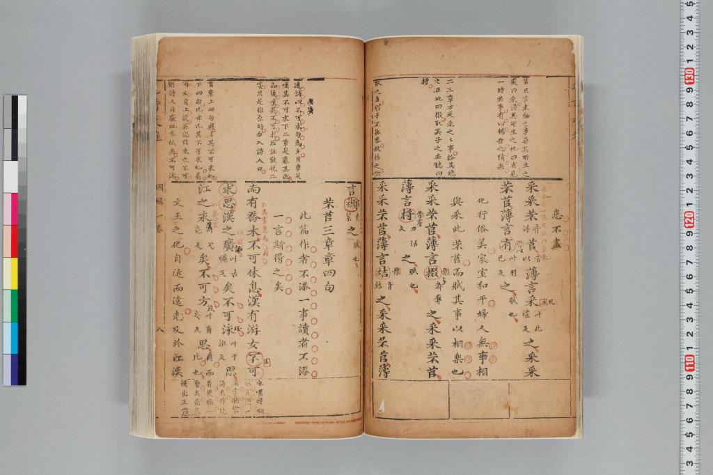 標準画像へ
