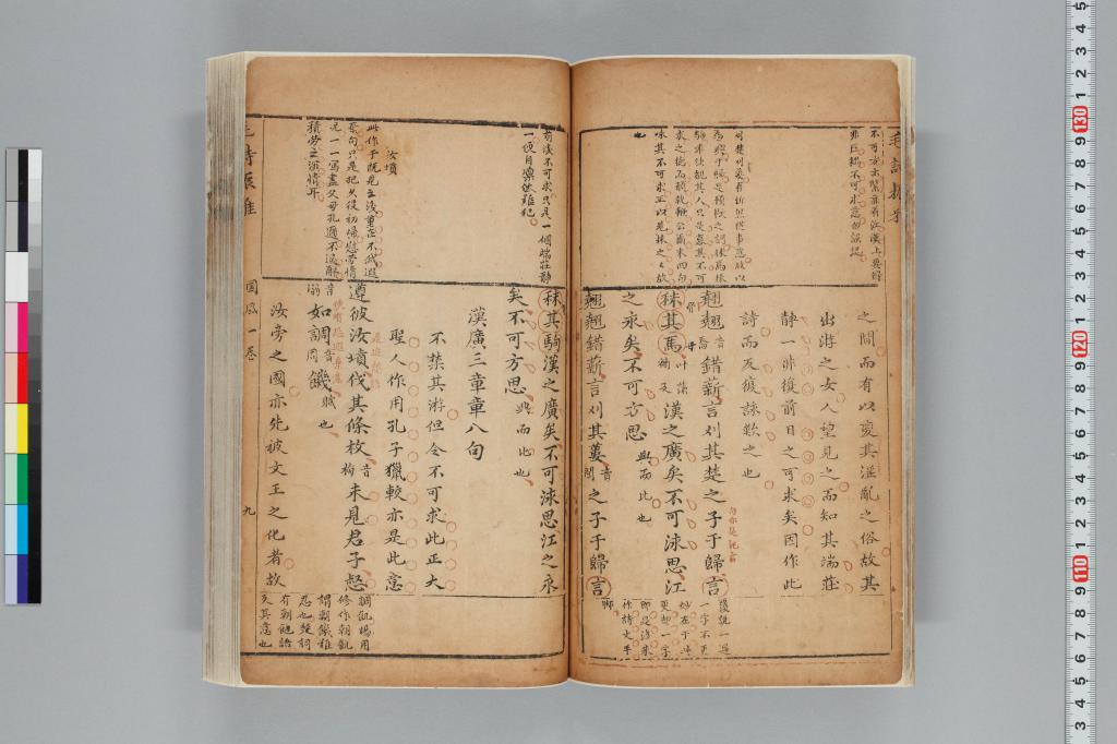 標準画像へ