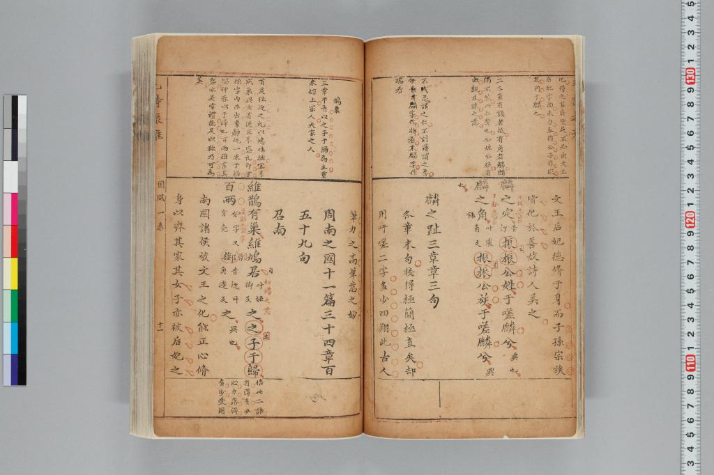 標準画像へ