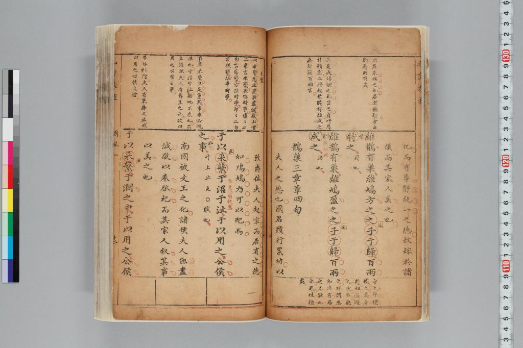 標準画像へ
