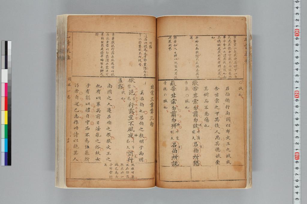 標準画像へ