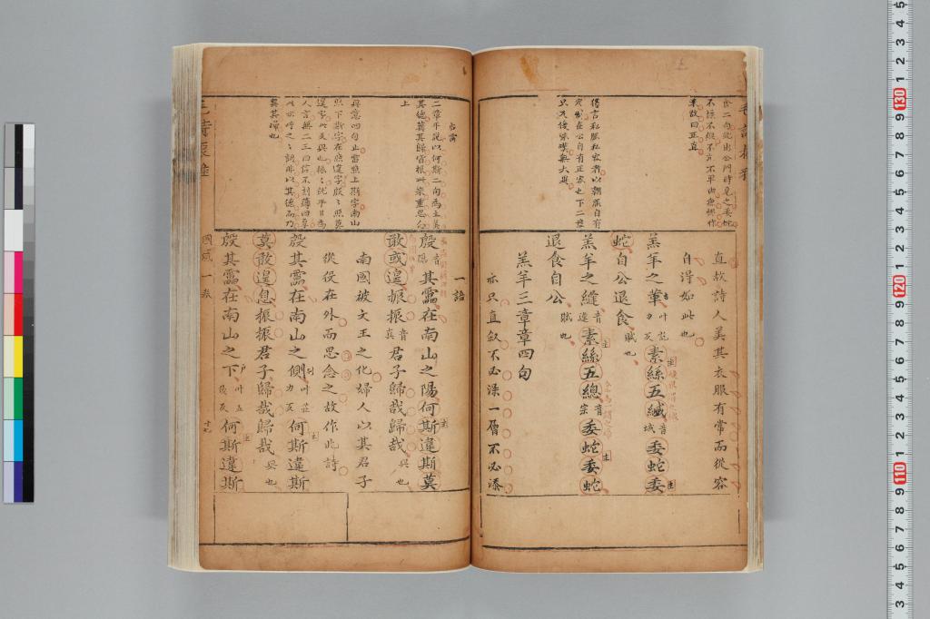 標準画像へ