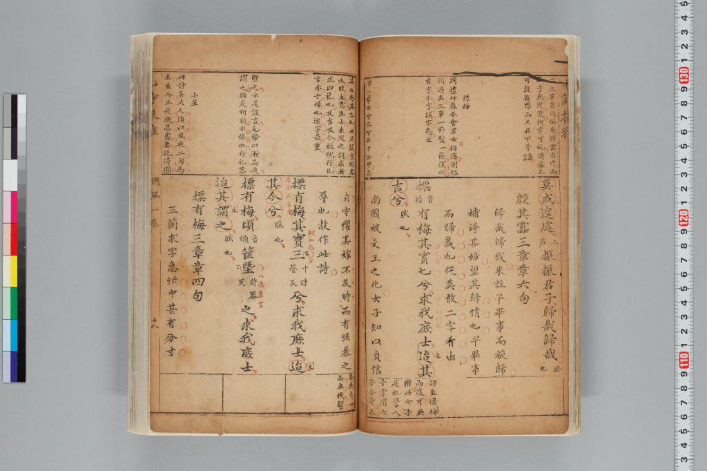標準画像へ