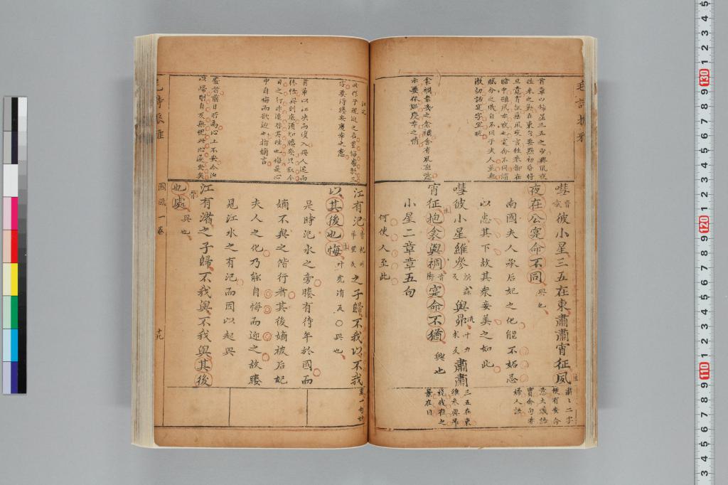 標準画像へ