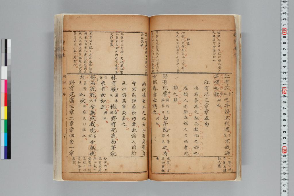 標準画像へ